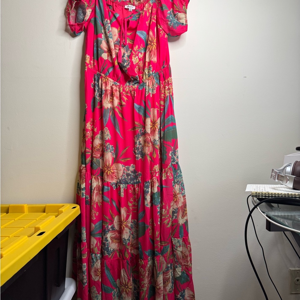 Jealous Tomato Red and Green Maxi Dress